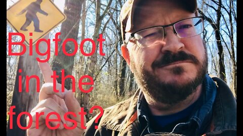Bigfoot in the forest?