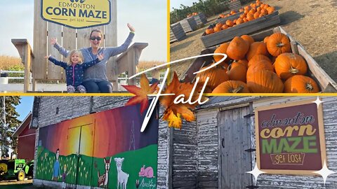 First Day of Fall 🍂 Autumn in Canada | Edmonton Corn Maze & Pumpkin Harvest