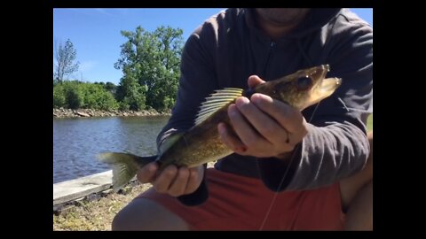 Fox River Bank Fishing in OMRO Wisconsin