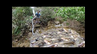 Catching fish the wild, Fishing techniques, Use A Large Capacity Pump catching fish in a wild lake