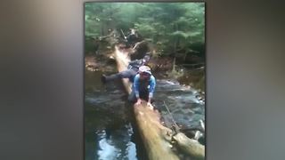 Guy Falls In The River While Trying To Cross It On A Tree Trunk