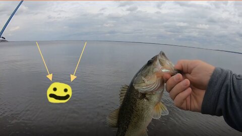 This Lure is Irresistible to Bass (Ross Barnett Reservoir)