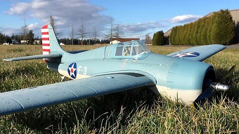 Parkzone F4F Wildcat WWII Warbird RC Plane Fun Flight