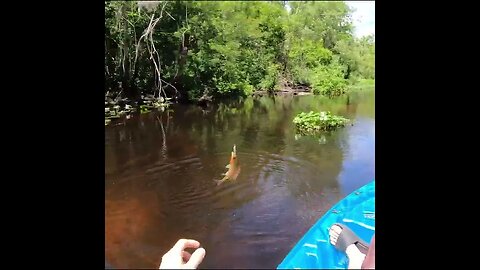 Creek Fishing from a Kayak