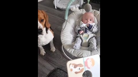 Hound dog joins baby for story time