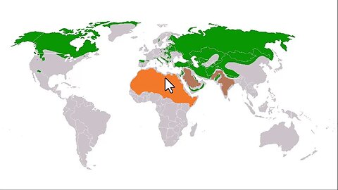 Wölfe - Benötigt der Wolf unser Land?