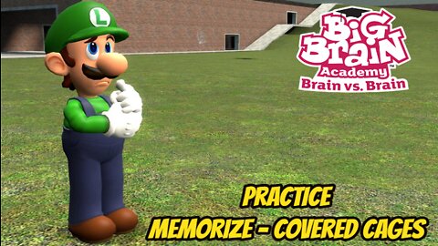 Big Brain Academy: Brain vs Brain * Practice | Memorize - Covered Cages