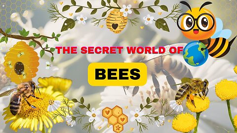 The Secret World Of Bees