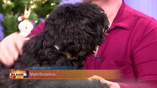 How to Manage Your Pet’s Holiday Stress With Arden Moore