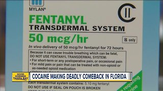 Cocaine making deadly comeback in Florida