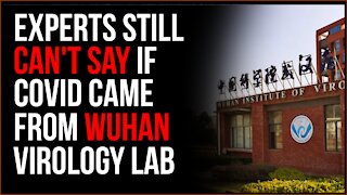 US Intel Says COVID Leaked From Lab In Wuhan MAYBE, But Still Nothing Definitive