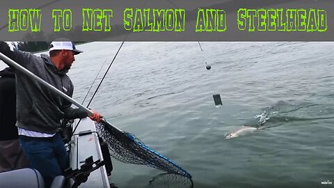 "How-To" | The Best Way To Net Salmon & Steelhead