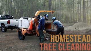 Homestead Tree Clearing | ft. Forest to Farm