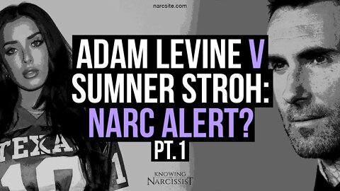 Adam Levine v Sumner Stroh : Narc Alert? Part 1
