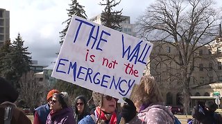 People protest President Trump's emergency declaration at the Idaho State Capitol