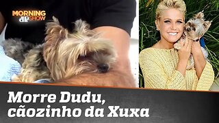 Morre Dudu, cachorrinho da apresentadora Xuxa