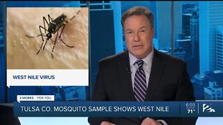 Health officials: Tulsa Co. mosquito sample tests positive for West Nile virus