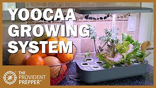 Indoor Garden: Yoocaa LED Hydroponics Growing System Review