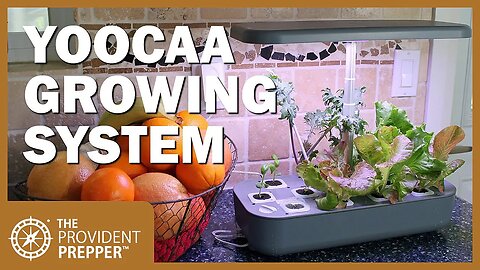 Indoor Garden: Yoocaa LED Hydroponics Growing System Review