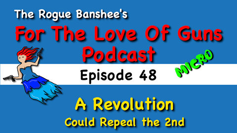 Other ways that anti-gunners can repeal the 2nd Amendment // Episode 48 For The Love Of Guns