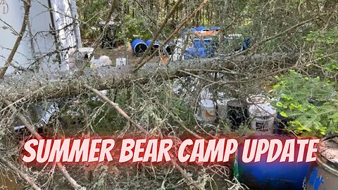A bear broke into our bear hunting camp! Bear camp update and improvements