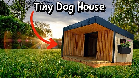 Building A Tiny Home For my Dogs | Full Build