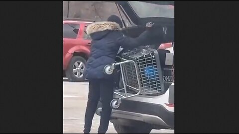 Stealing The Laundry Cart Brings Instant Karma