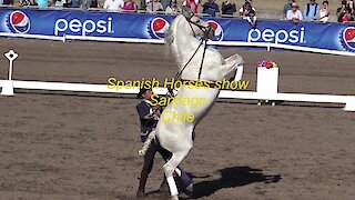 Spanish horse show in Santiago Chile