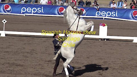 Spanish horse show in Santiago Chile