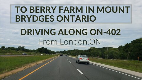 Driving Along Highway ON-402 to Local Berry Farm