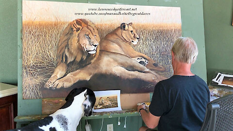 Great Danes Play and Relax While Artist Dad Paints Lion and Lioness