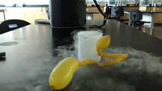 You won't believe what liquid nitrogen can do to a balloon!