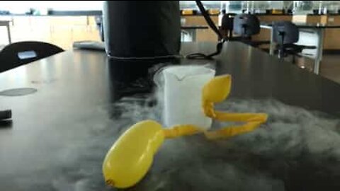 You won't believe what liquid nitrogen can do to a balloon!