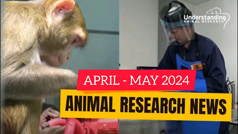 Animal Research News (April and May 2024)