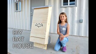 How to Build a DIY Bat House!