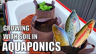 Dual Root Zone Aquaponics Grow Beds