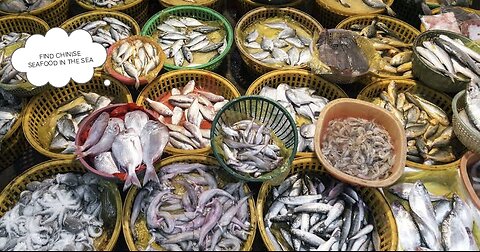 See how Chinese people search for seafood from the stagnant water of the sea