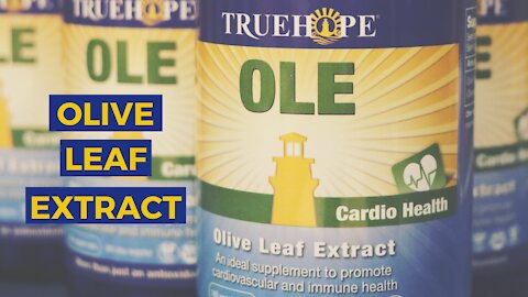 Olive Leaf Extract - Oleuropein