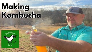 Making Kombucha Part 3- The Last Part