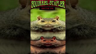 Sinning Shack makes me Hang My Head in Shame | Squirrel Stapler #shorts #indiegame #horrorgaming