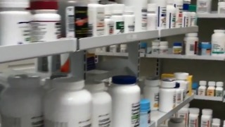 New law helps Floridians save money at the pharmacy