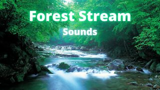 Relaxing Forest Stream Sounds.