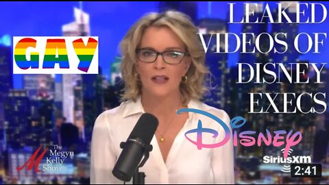 Megyn Kelly Reacts to Leaked Videos of Disney and gays