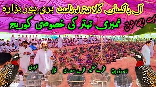 All Pakistan Kala Teetar Tournament | Kala Teetar Chakri |Black Francolin Tournament Haripur Hazara