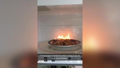 "Girl Accidentally Catches Paper Plate on Fire in The Microwave"