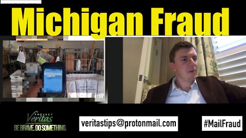 Mail in Fraud Michigan, Veritas