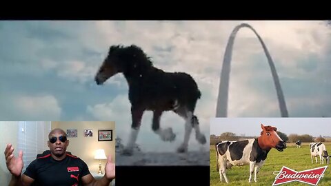Budweiser Attempts New Ad But Are The Horses Trans Now? Commercial Fails Miserably