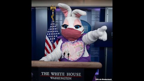 THIS BIDAN ADMINISTRATION IS A BIZZARE SPECTICLE : MASKED EASTER BUNNY