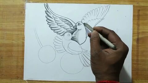 how to draw a pigeon and rose flowers with pencil sketch