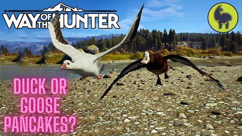 Duck or Goose Pancakes? | Way of the Hunter (PS5 4K)